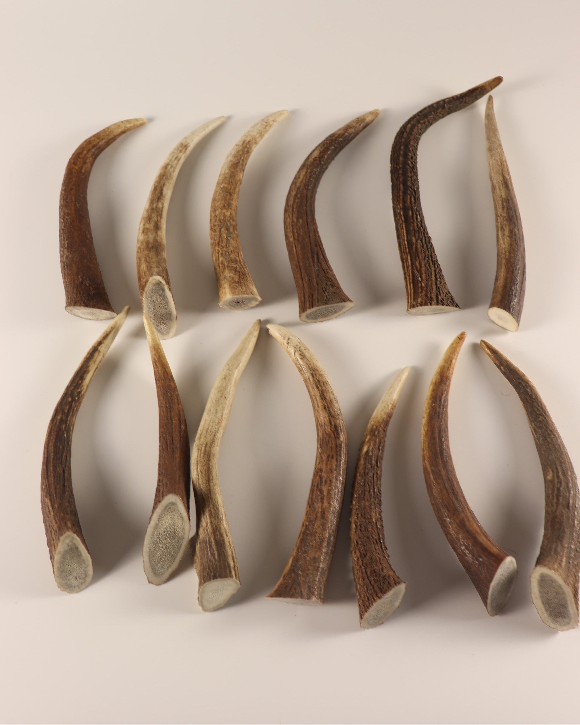 13 Hornspitzen