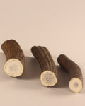 3 Hornstücke Geweihstücke