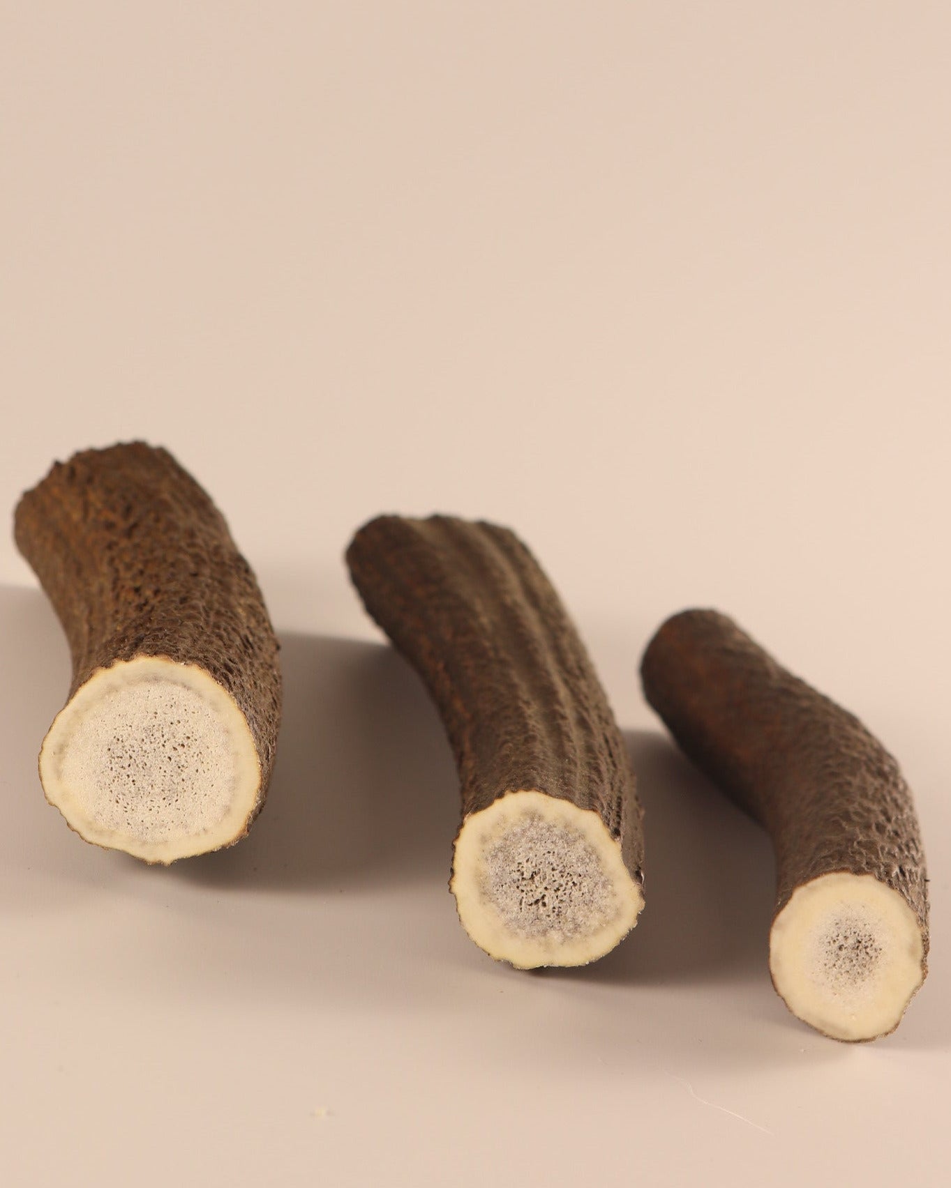 3 Hornstücke Geweihstücke