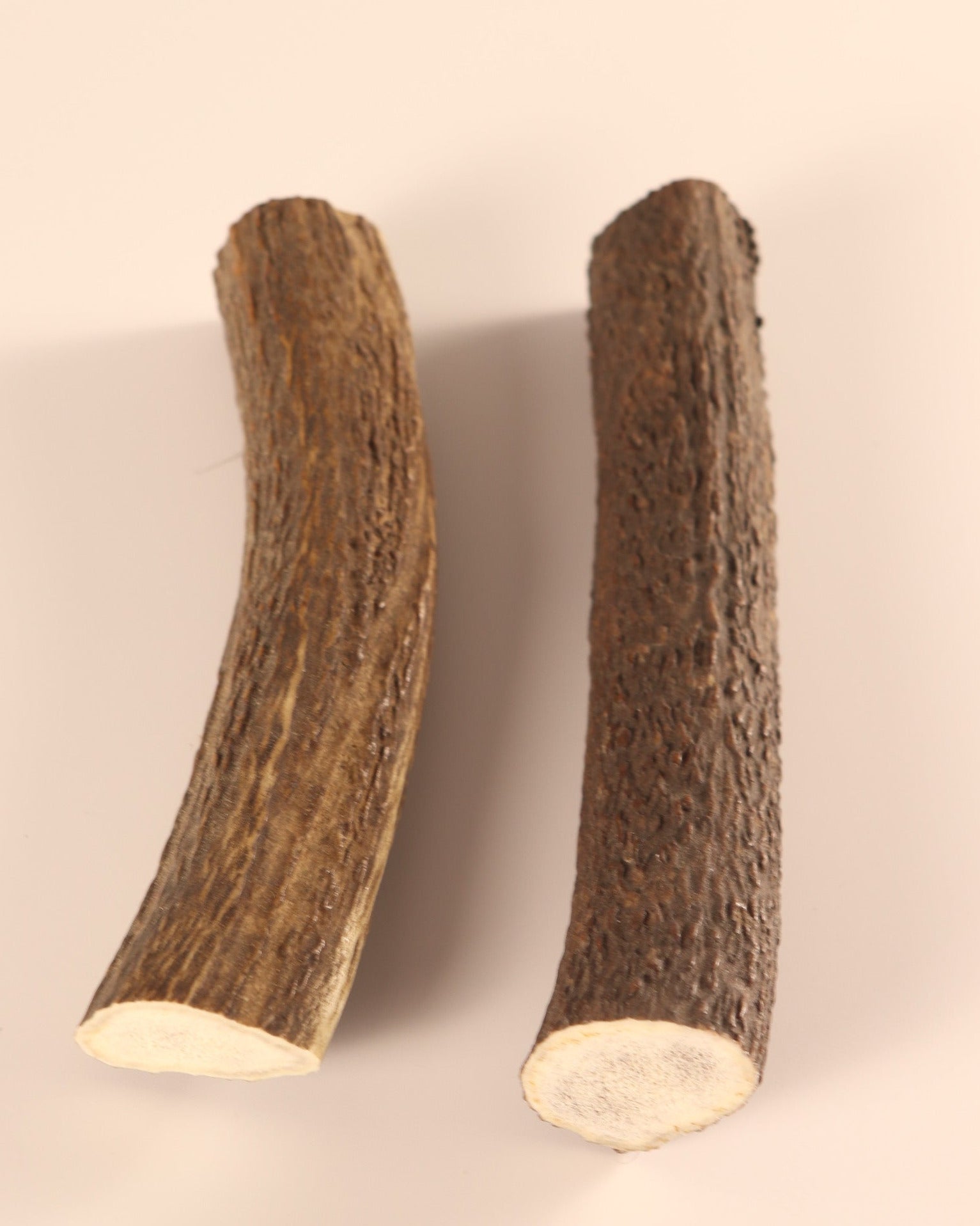 2 Hornstücke Geweihstücke