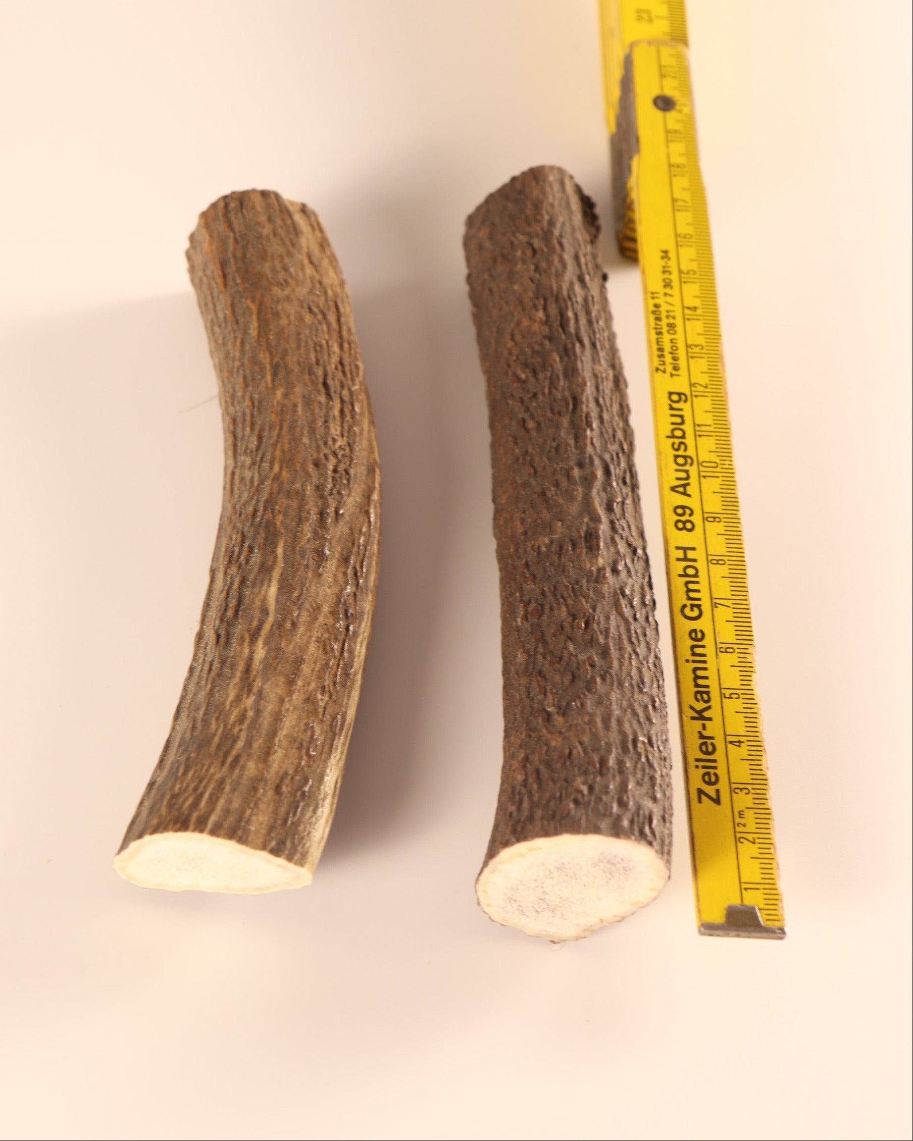 2 Hornstücke Geweihstücke