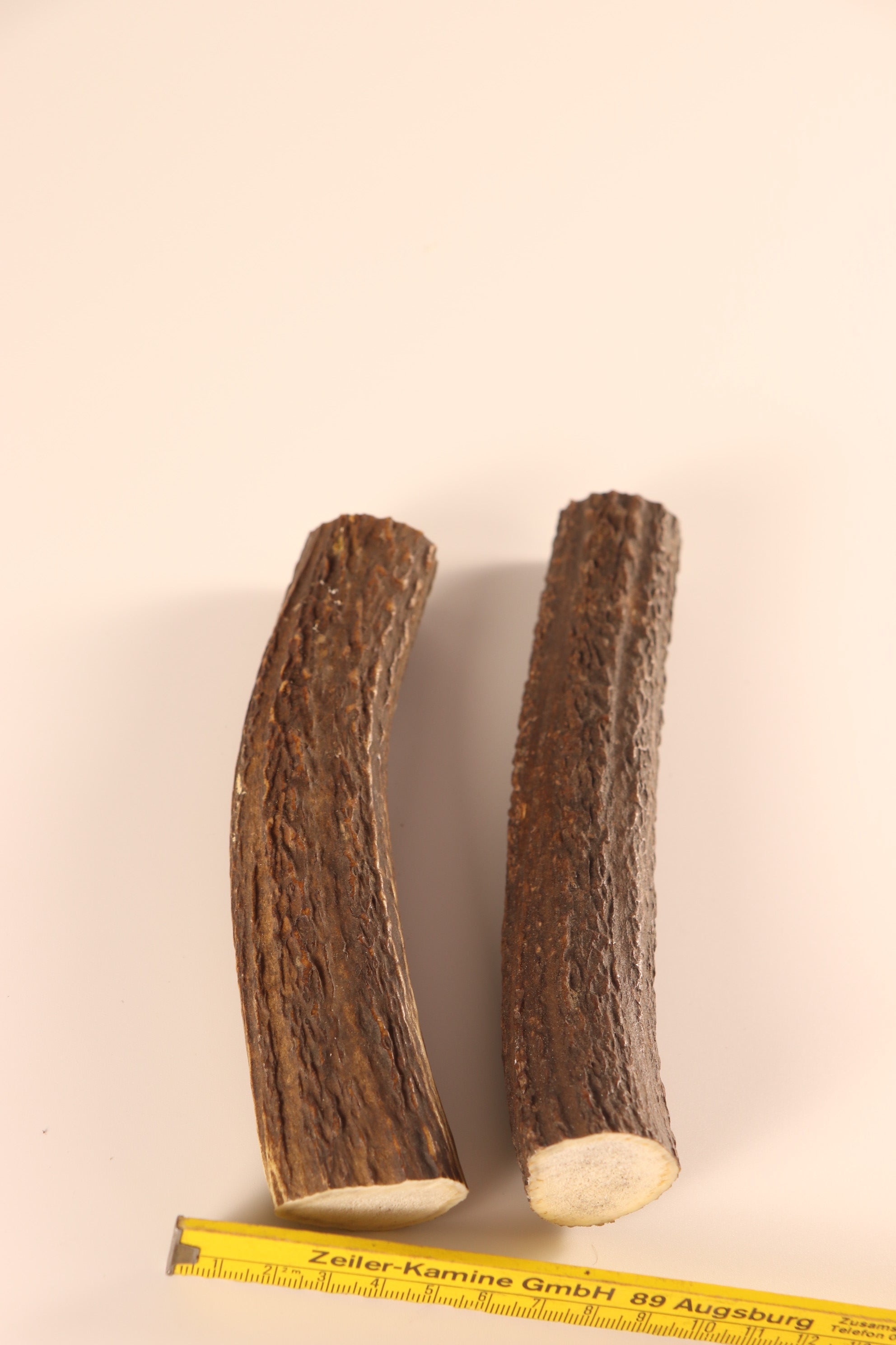 2 Hornstücke Geweihstücke