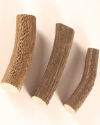 3 Hornstücke Geweihstücke