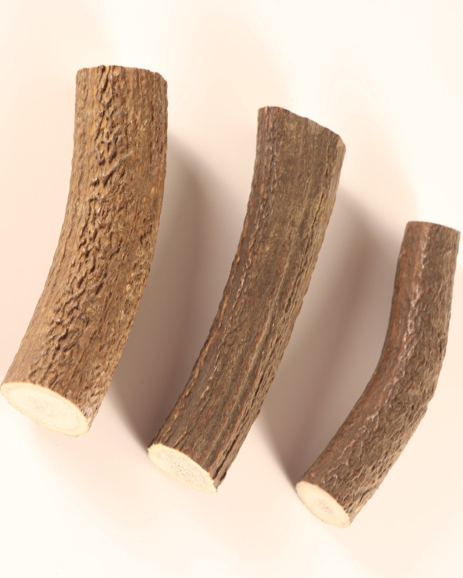 3 Hornstücke Geweihstücke