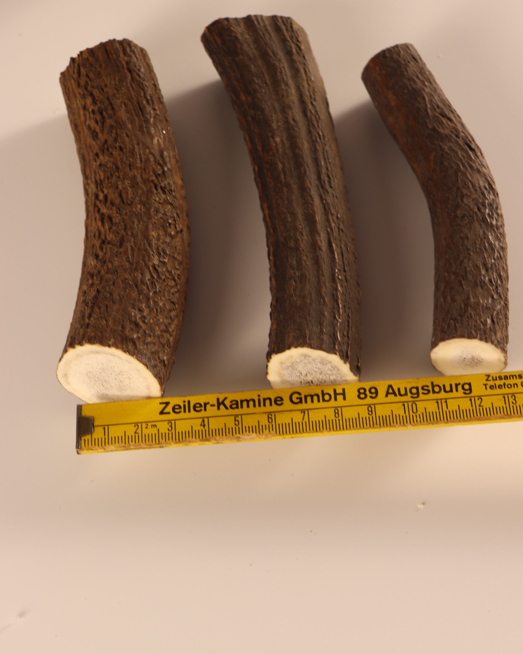 3 Hornstücke Geweihstücke