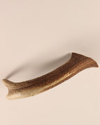 abnormes Geweihstück