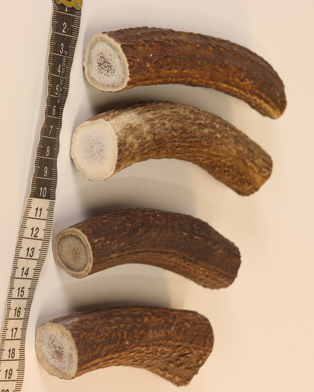 4 Hornstücke Geweihstücke