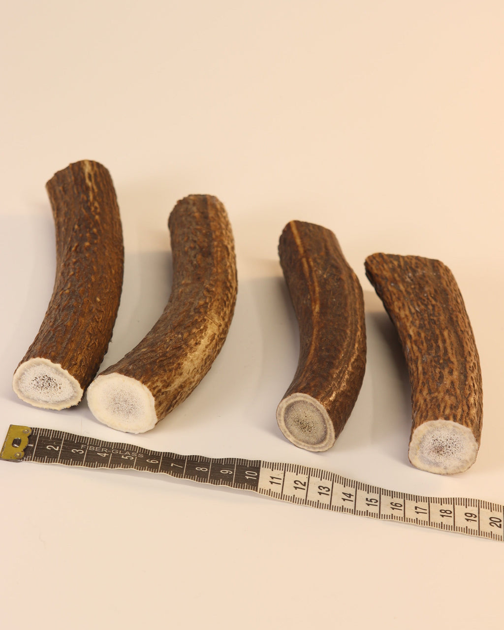 4 Hornstücke Geweihstücke