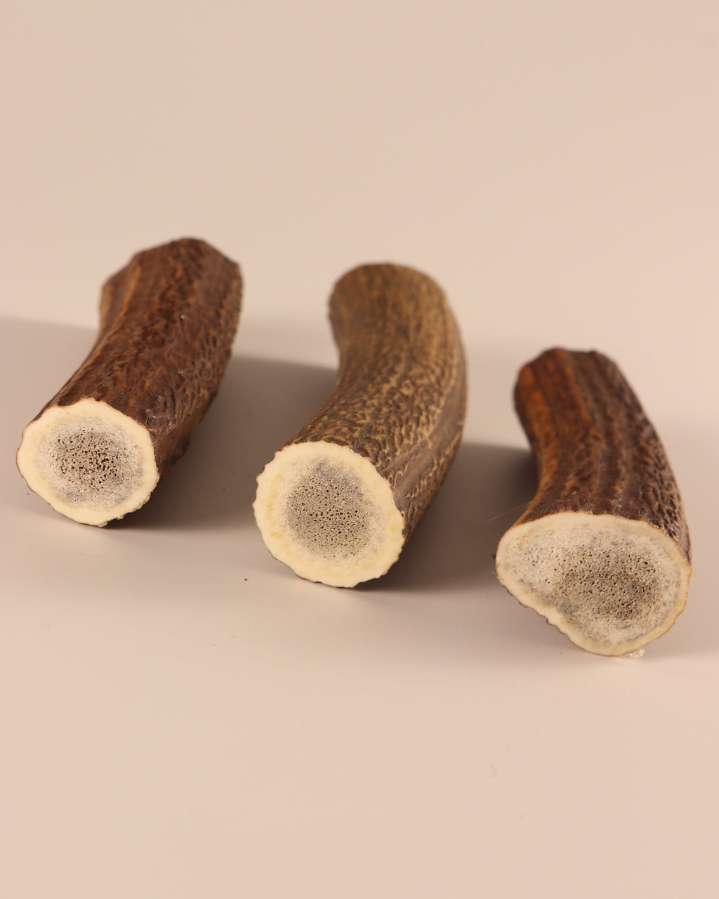 3 Hornstücke Geweihstücke