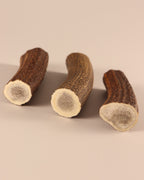 3 Hornstücke Geweihstücke