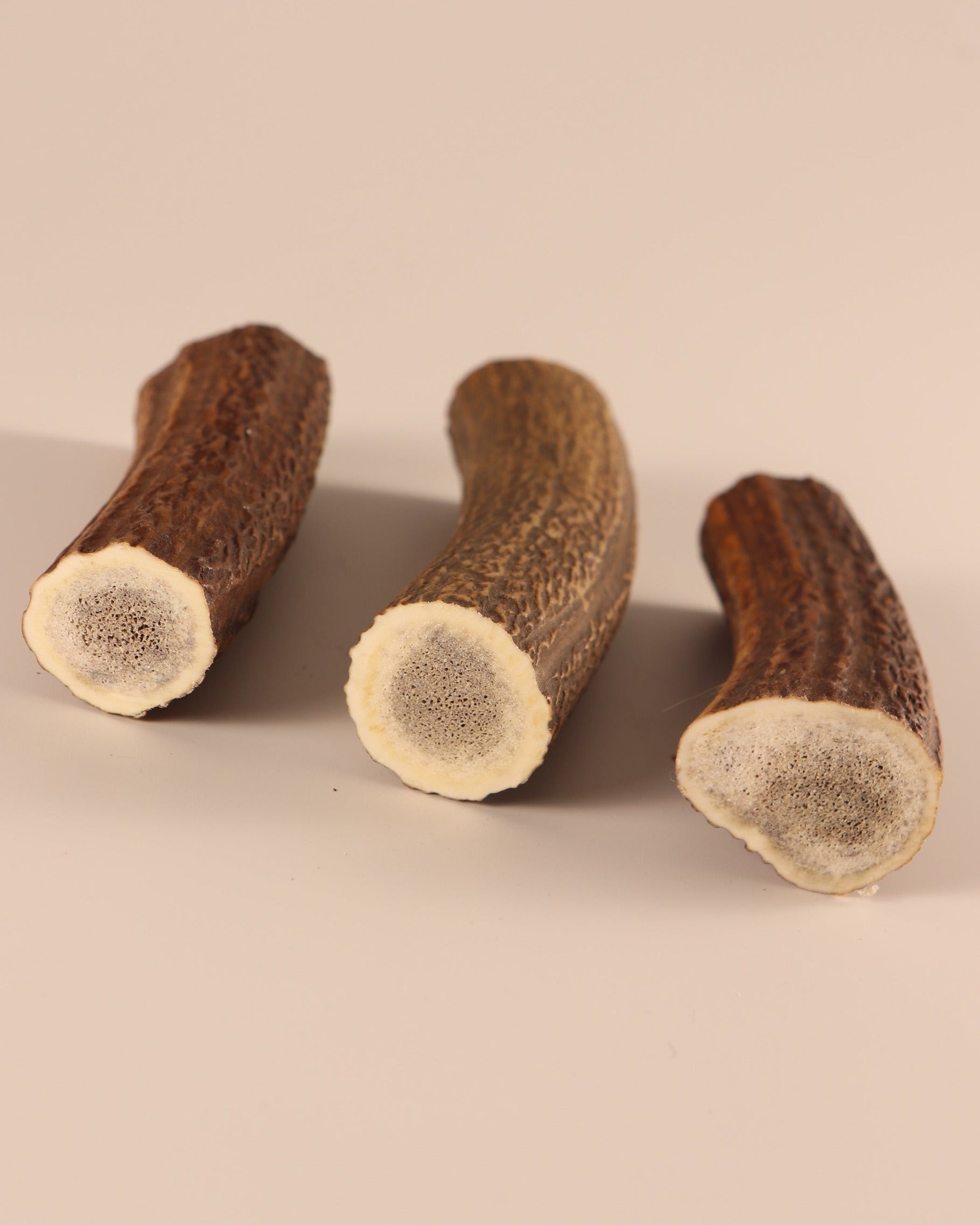 3 Hornstücke Geweihstücke