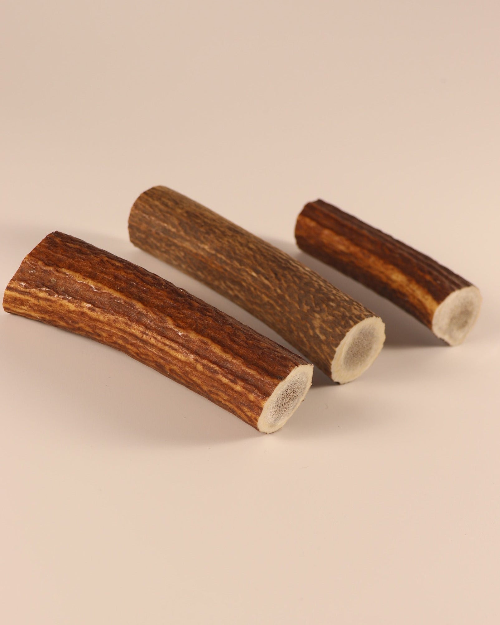 3 Hornstücke Geweihstücke