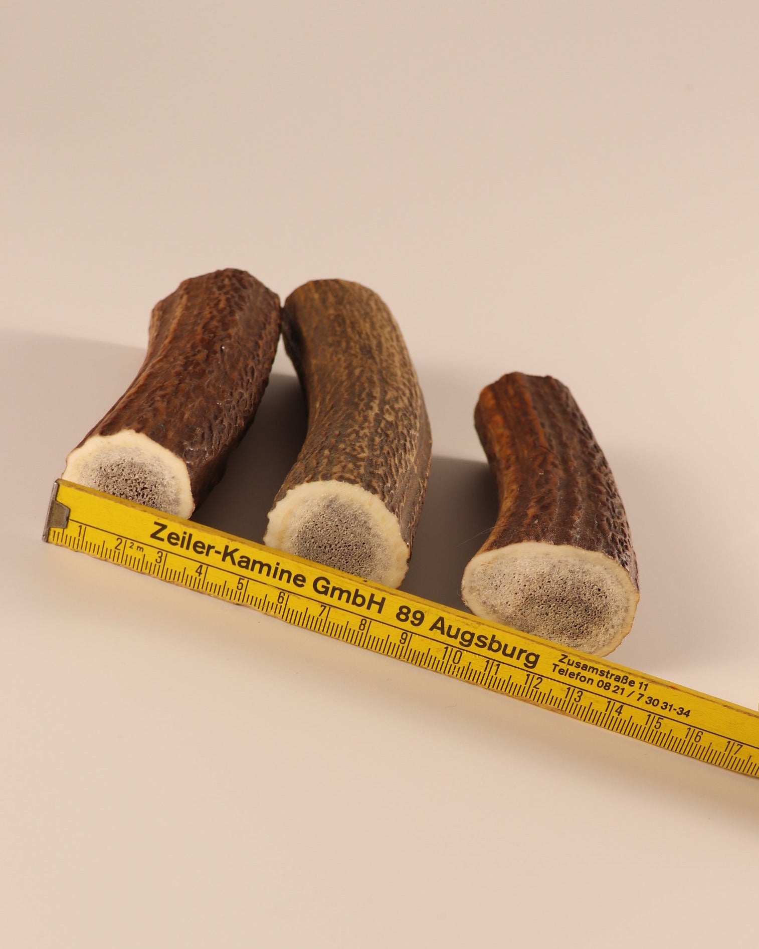 3 Hornstücke Geweihstücke