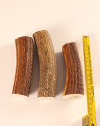 3 Hornstücke Geweihstücke