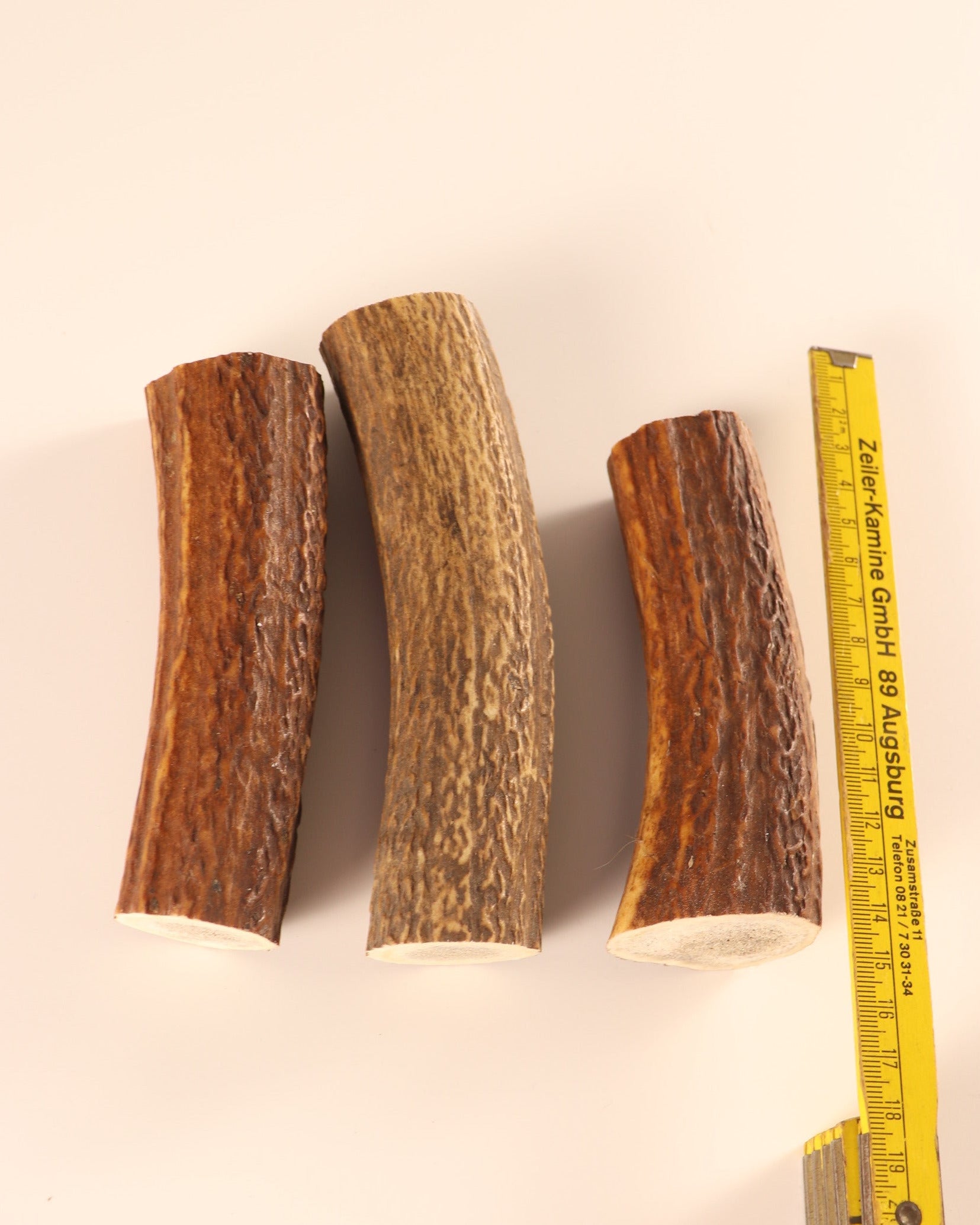 3 Hornstücke Geweihstücke