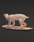 Luchs Präparat aus Kanada