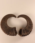 Mufflon Schläuche