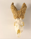 Perückenbock Rehbock