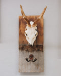 Schindel Garderobe mit Rehbock