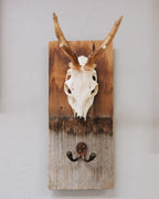 Schindel Garderobe mit Rehbock
