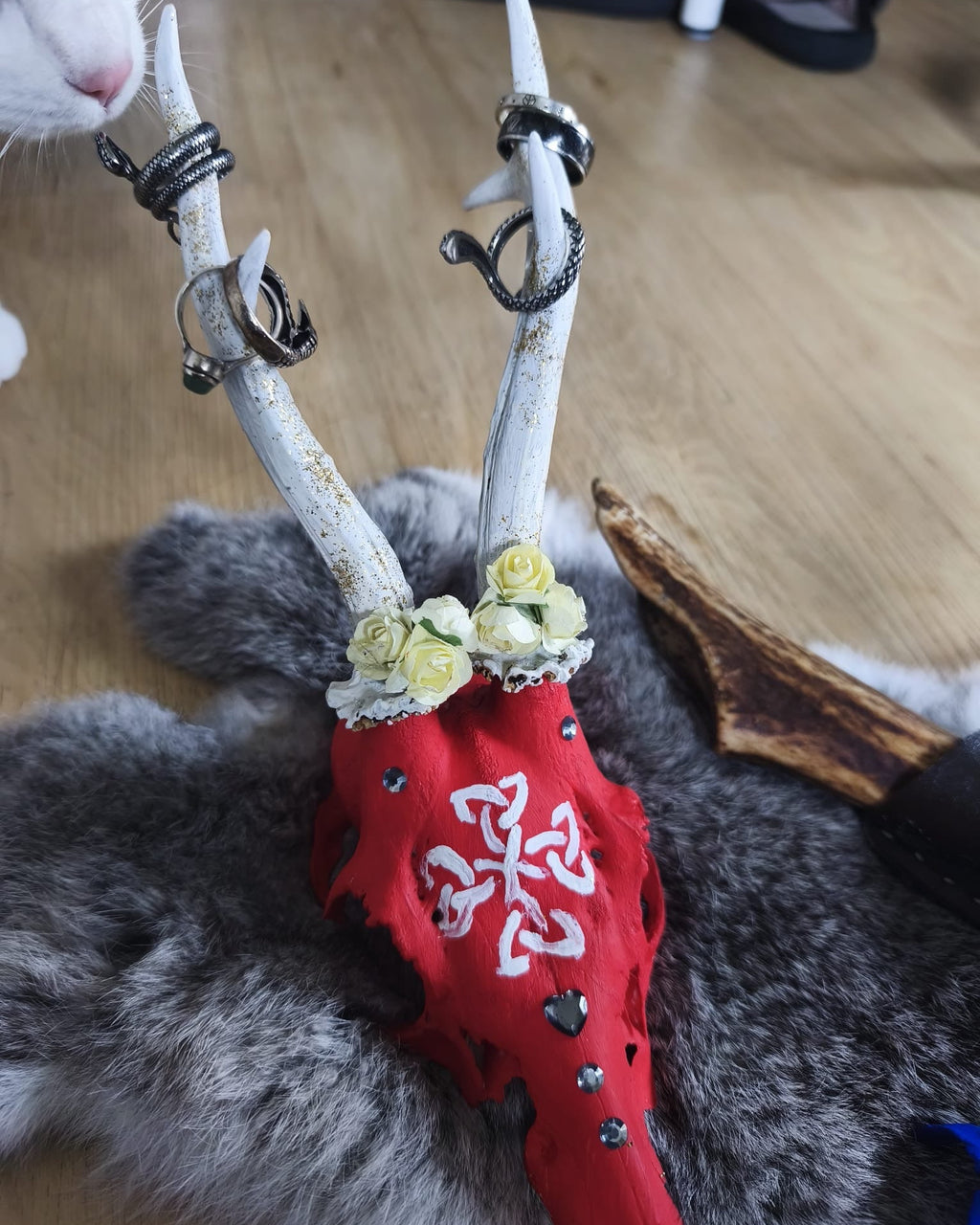 Geweih für Kreativabend Rehböcke
