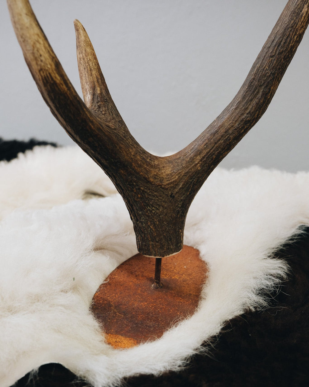 Rostständer mit Hornkrone