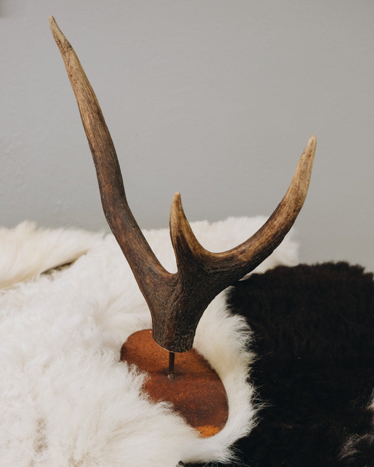 Rostständer mit Hornkrone