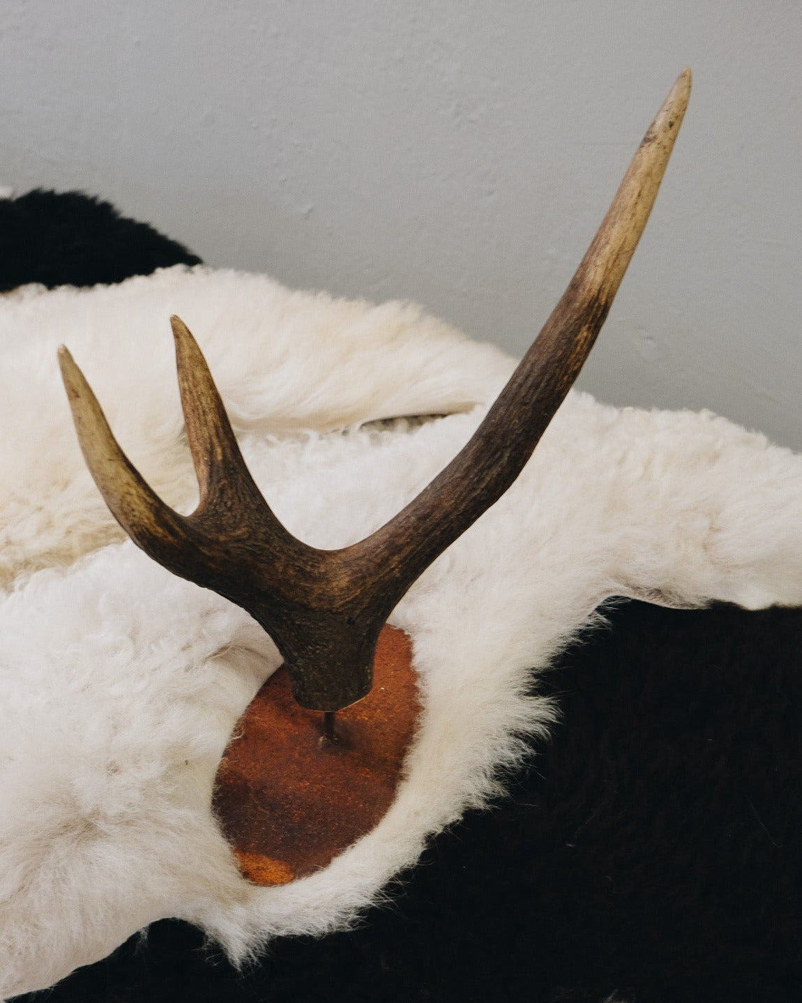 Rostständer mit Hornkrone