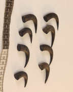 Gams-Schlauch-Spitzen