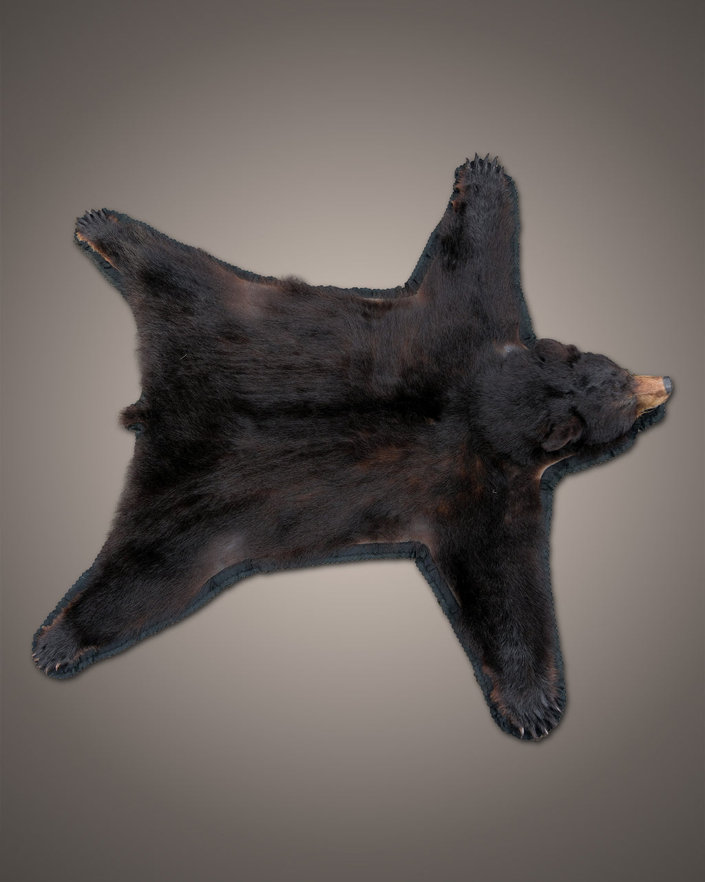 Bärenfell Schwarzbärvorleger