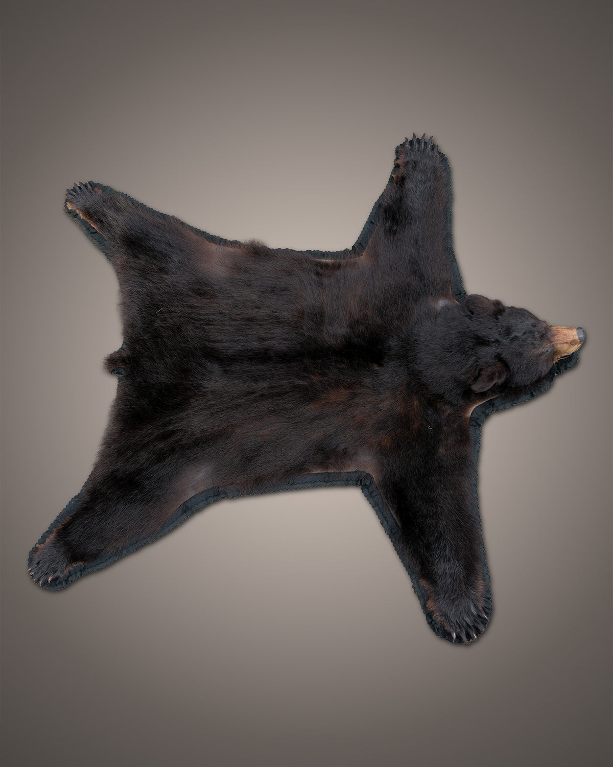 Bärenfell Schwarzbärvorleger