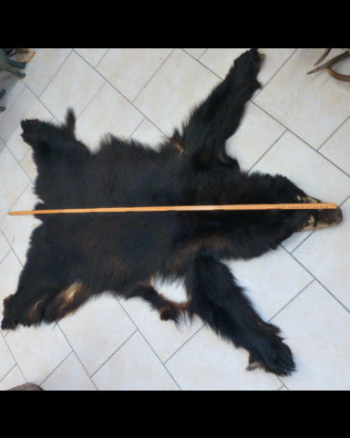 Schwarzbärfell