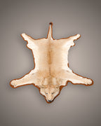 Vorleger_Loewe_gross