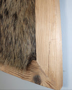 Wildsau Fell im Altholzbilderrahmen