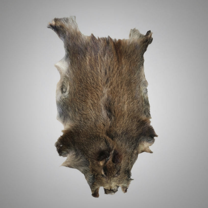 Wildschwein Schwarte Decke