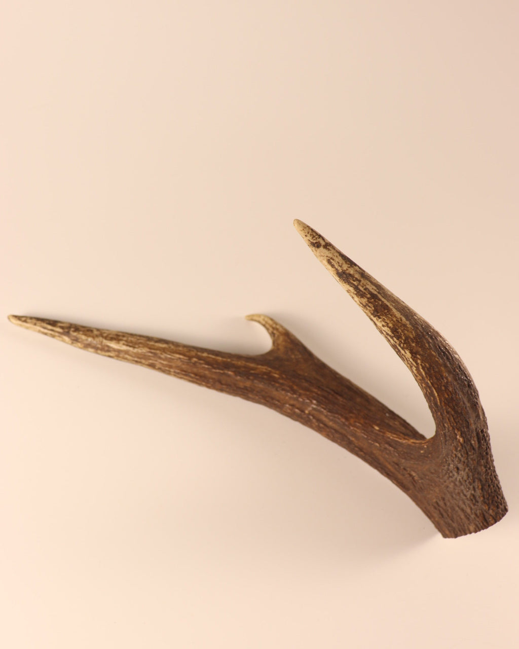 Hirschkrone