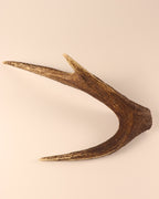 Hirschkrone