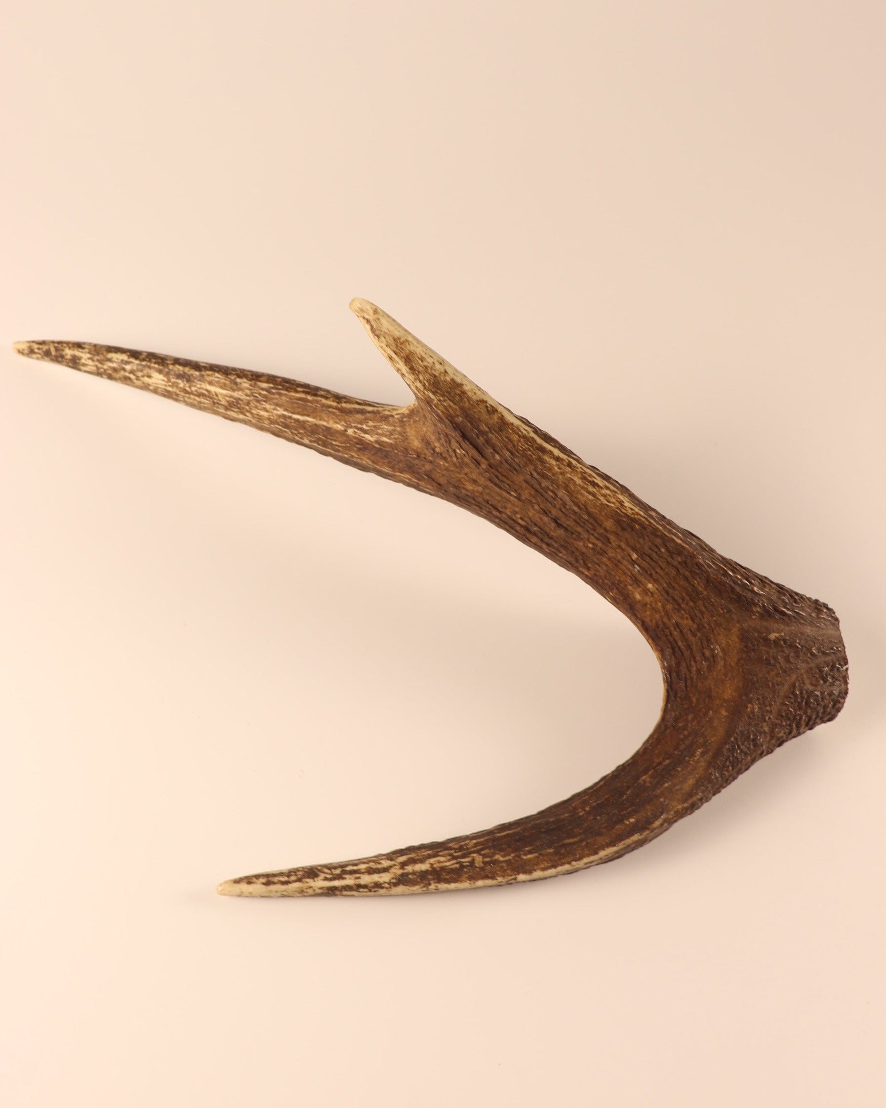 Hirschkrone