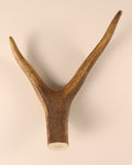 Hirschkrone