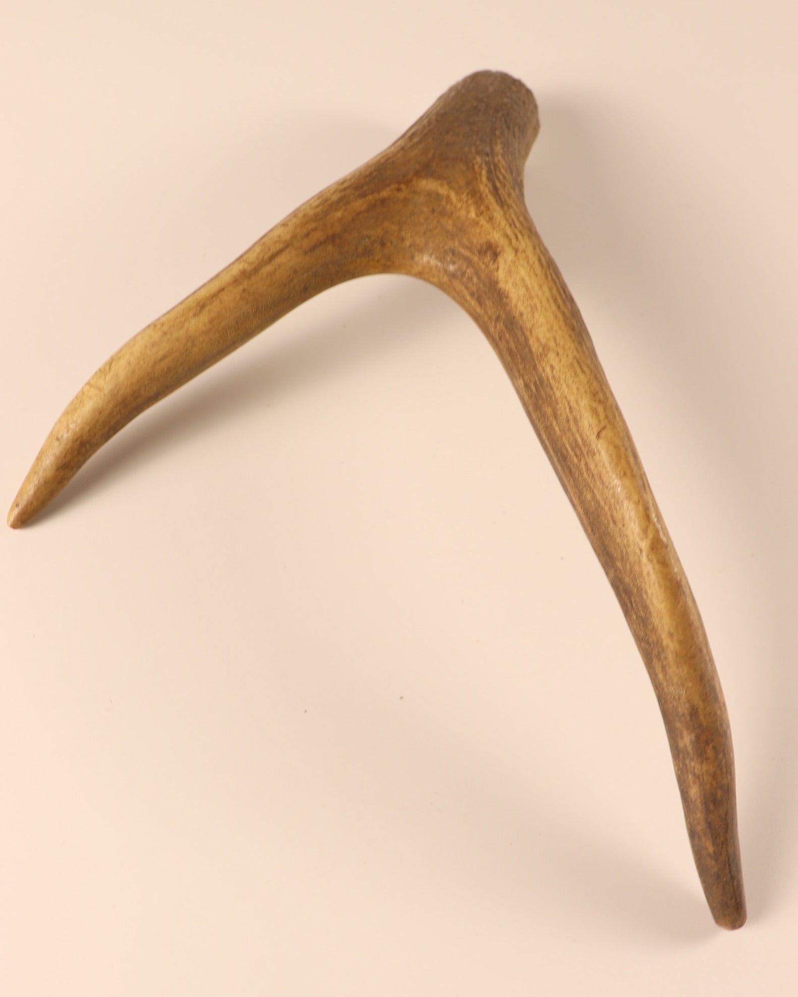 Hirschkrone