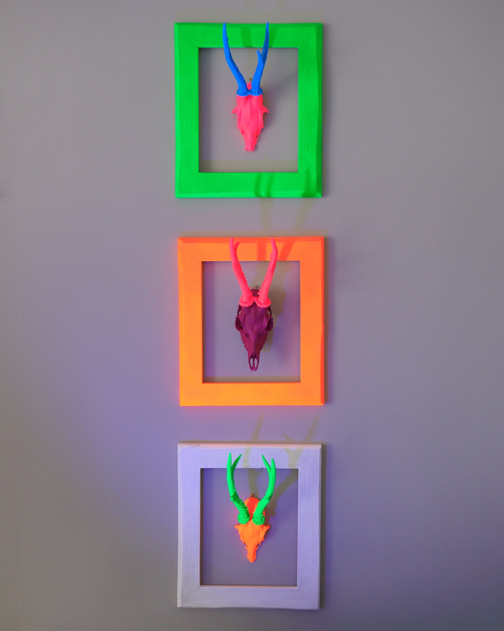 Neon Design Rehbock im Rahmen